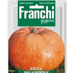 ZUCCA GIALLA QUINTALE