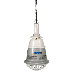 NOVITAL ALADINO 250