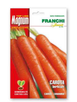 CAROTA BERLICUM