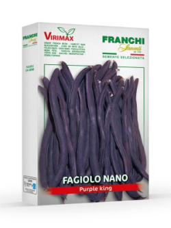 FAGIOLO NANO PURPLE KING