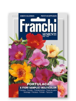 PORTULACA A FIORI SEMPLICI MULTICOLOR