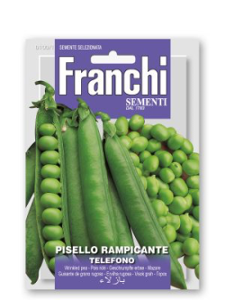 PISELLO RAMPICANTE TELEFONO