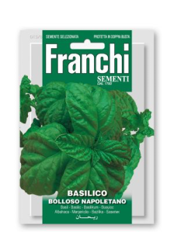 BASILICO BOLLOSO NAPOLETANO