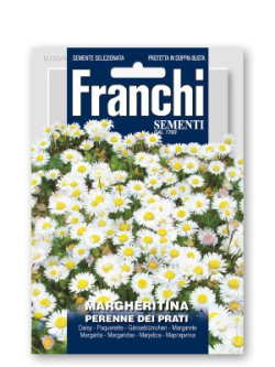 MARGHERITINA PERENNE DEI PRATI