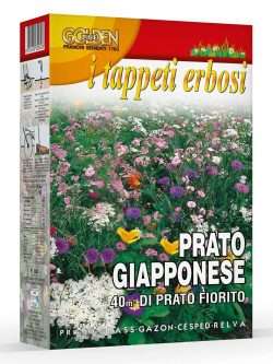 PRATO GIAPPONESE
