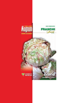 CICORIA VARIEGATA DI LUSIA