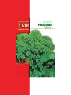 CIMA DI RAPA NOVANTINA