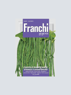 FAGIOLO RAMPICANTE STRINGA A GRANO BRUNO