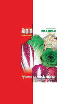 MISTICANZA DI RADICCHI