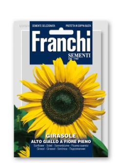 GIRASOLE ALTO GIALLO A FIORE PIENO