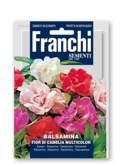 BALSAMINA FIOR DI CAMELIA MULTICOLOR