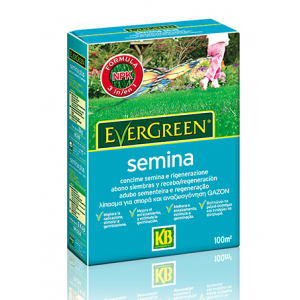 EVERGREEN SEMINA