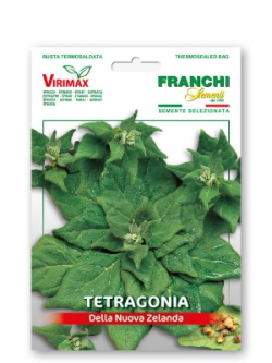 TETRAGONIA DELLA NUOVA ZELANDA