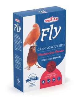 RAGGIO DI SOLE STICK CANARINI PASTONCINO ROSSO