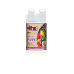 VITHAL ABYSS