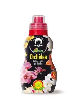 ALFE ORCHIDEE LIQUIDO