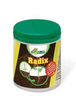 ALFE RADIX