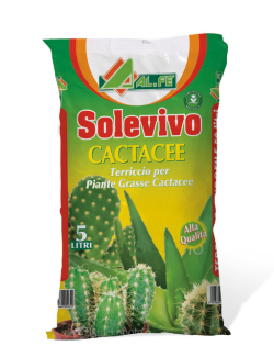 SOLEVIVO CACTACEE
