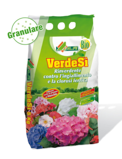 AL.FE VerdeSì